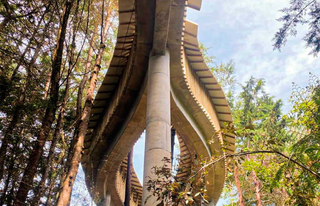puente-ppal